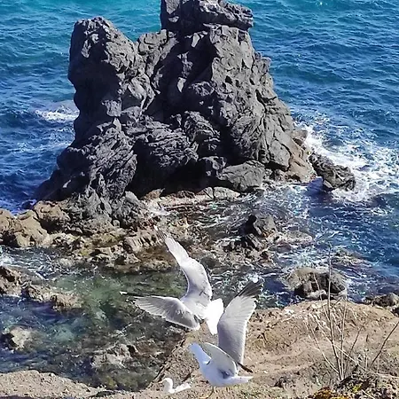 Campeggio Parc Des 7 Fonts Agde