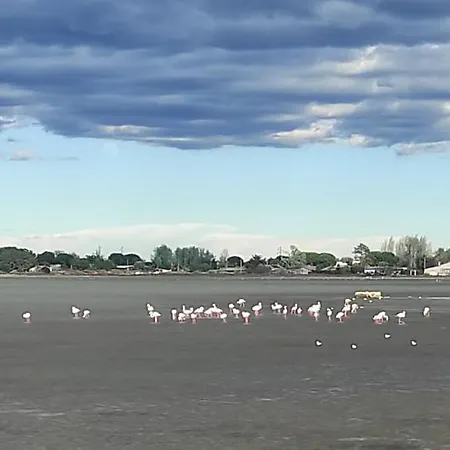 Parc Des 7 Fonts Campeggio