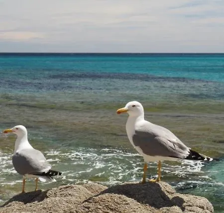 Parc Des 7 Fonts * Agde