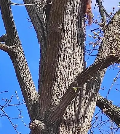 Camping Parc Des 7 Fonts