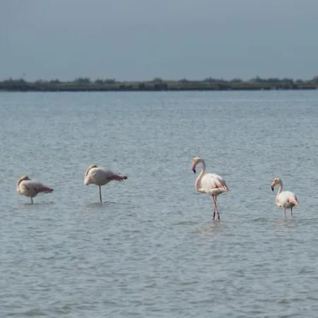 Camping Parc Des 7 Fonts *